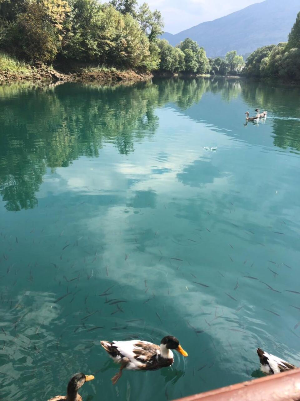 Splav "Slap" - Bungalovi Danilovgrad Dış mekan fotoğraf